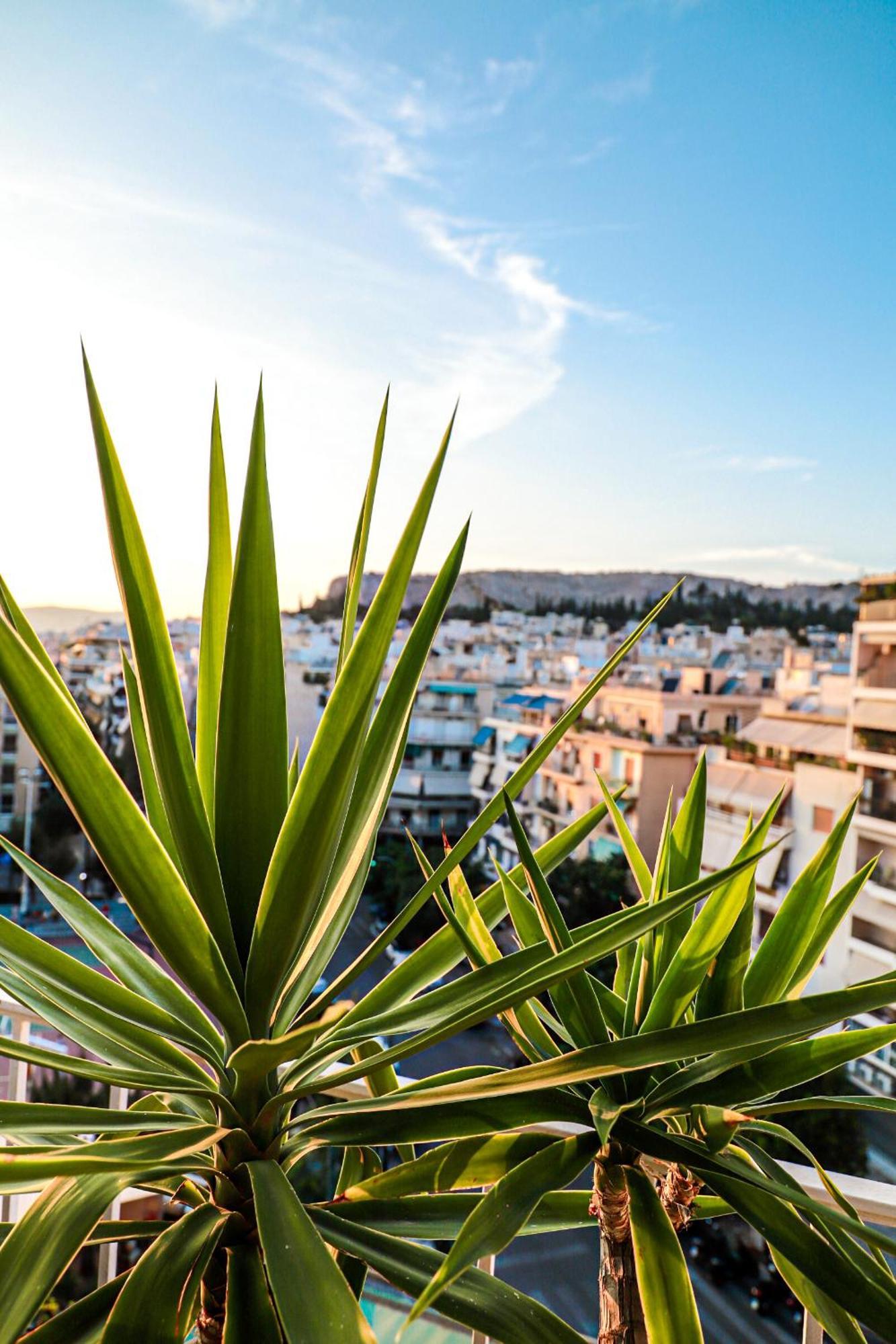 Renovated Apartment With Roof Garden Access, 15 M Walk To Acropolis Atény Exteriér fotografie