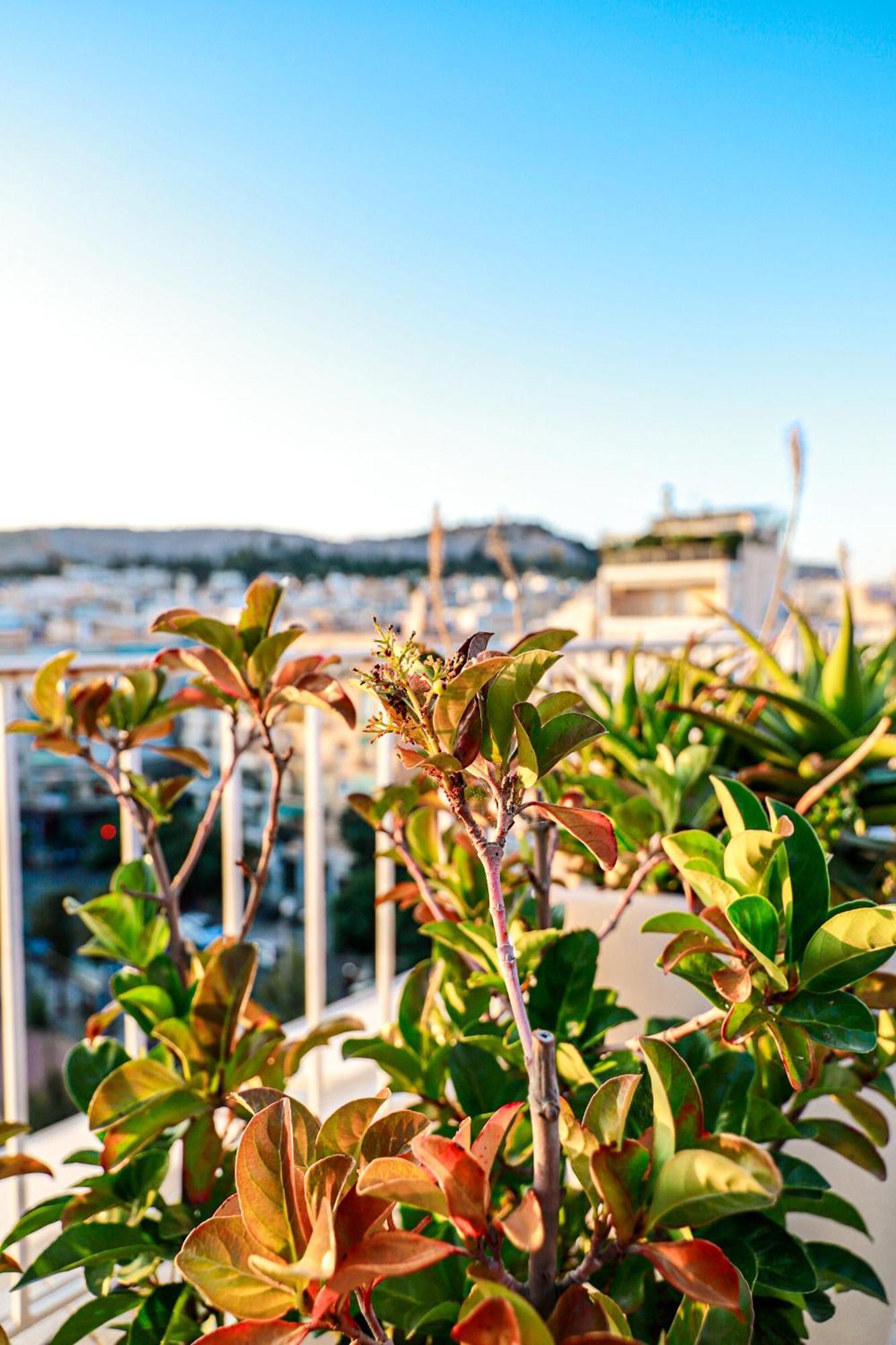 Renovated Apartment With Roof Garden Access, 15 M Walk To Acropolis Atény Exteriér fotografie