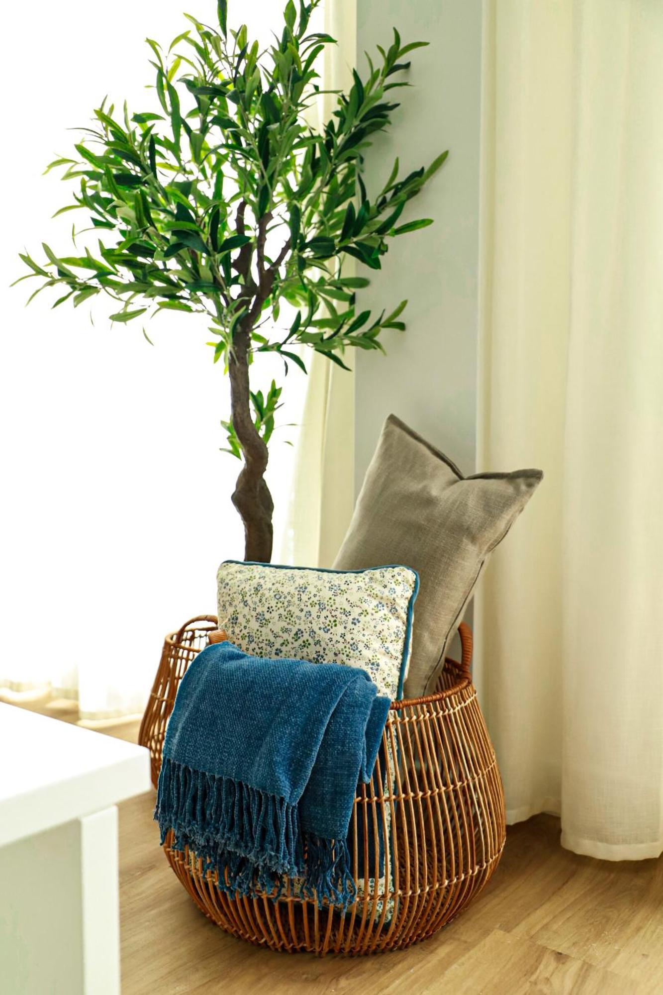 Renovated Apartment With Roof Garden Access, 15 M Walk To Acropolis Atény Exteriér fotografie